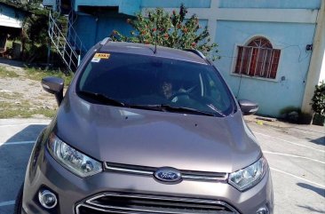 2017 Ford Ecosport for sale in Malolos