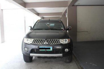 2010 Mitsubishi Montero for sale