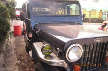 Owner Type Jeep 1979 for sale 