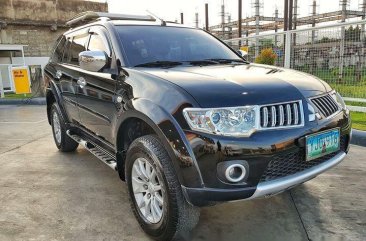 2010 Mitsubishi Montero Sport for sale