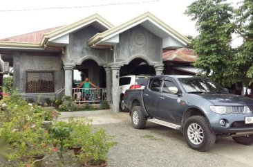 Mitsubishi Strada 2009 for sale