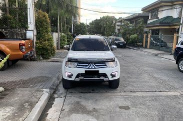 2015      Mitsubishi   Montero for sale