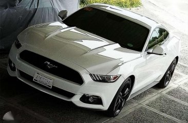 2016 Ford Mustang Ecoboost for sale