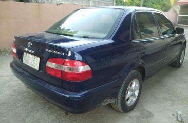 2003 Toyota Corolla Lovelife for sale