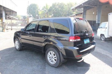 Ford Escape Wagon 2010 AT for sale