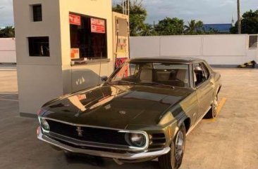 For Sale 1970 Ford Mustang Collectors Item