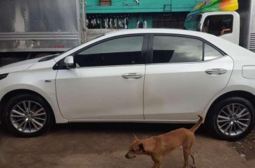 Toyota Corolla Altis 1.6v 2015 for sale 