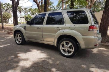 Ford Escape 2010 for sale