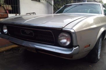 1971 Ford Mustang for sale 