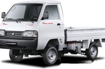 2019 Suzuki Super Carry 0.8 FILCAB MT