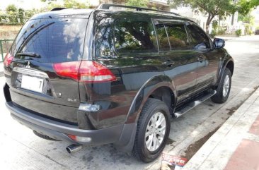 2015 Mitsubishi Montero for sale