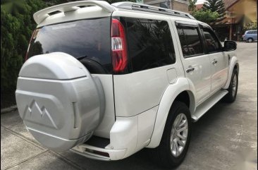 Selling 2nd Hand (Used) 2014 Ford Everest in Lapu-Lapu