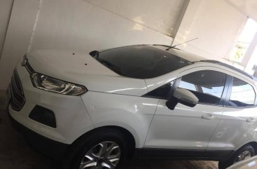 2nd Hand (Used) Ford Ecosport 2014 for sale in Parañaque