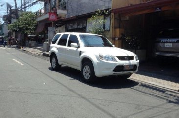 Selling 2013 Ford Escape for sale in Pasig