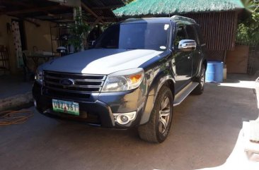 Selling Used Ford Everest 2013 Manual Diesel at 60000 km in Bacolor