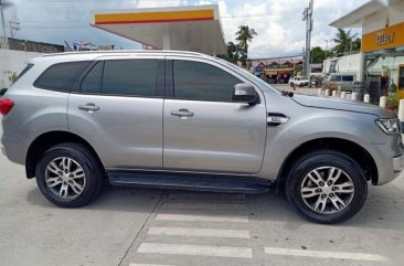 Selling 2nd Hand Ford Everest 2017 at 30000 km in Antipolo