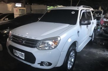 Selling 2nd Hand Ford Everest 2015 Automatic Diesel at 50000 km in Lapu-Lapu