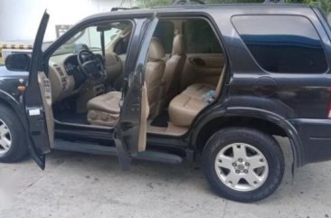 Ford Escape 2004 Automatic Gasoline for sale in Indang