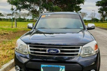 Used Ford Everest 2013 Automatic Diesel for sale in Cabuyao