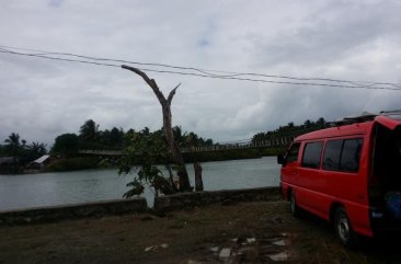 Selling 2nd Hand Hyundai Grace 1999 in Bustos