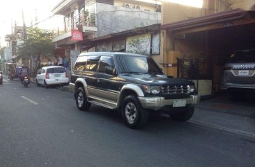 2002 Mitsubishi Pajero for sale in Pasig