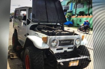 1982 Toyota Land Cruiser for sale in Ormoc