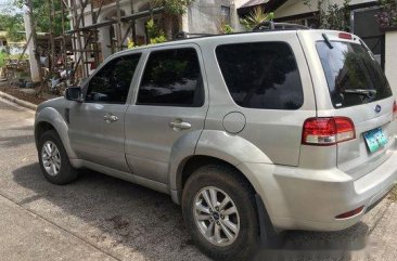 Beige Ford Escape 2010 at 122000 km for sale