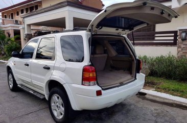 Sell 2nd Hand 2007 Ford Escape Automatic Gasoline at 100000 km in Parañaque