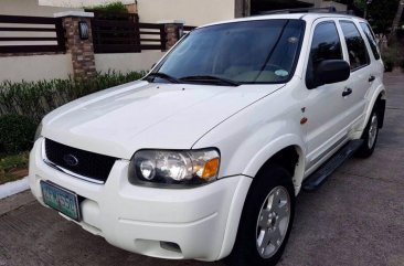 Sell 2nd Hand 2007 Ford Escape Automatic Gasoline at 100000 km in Parañaque