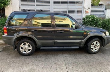2nd Hand Ford Escape 2003 at 107968 km for sale in Taytay
