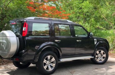 Ford Everest 2010 at 80000 km for sale in Parañaque