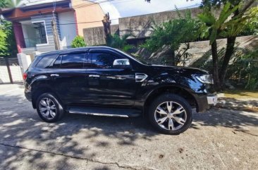 2016 Ford Everest for sale in Taytay