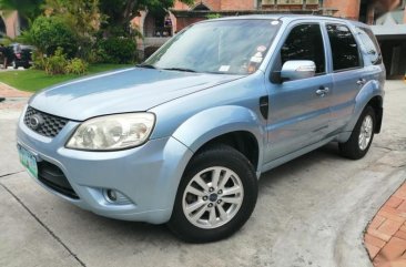 2nd Hand Ford Escape 2010 Automatic Gasoline for sale in Muntinlupa