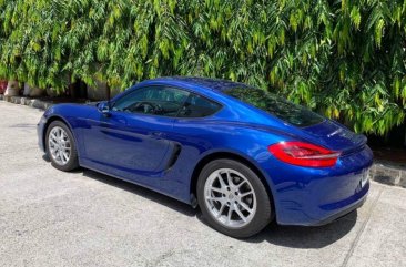 2014 Porsche Cayman for sale in Pasig