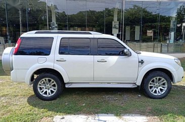 Ford Everest 2013 Automatic Diesel for sale in Pasay