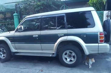 Sell 2nd Hand 1995 Mitsubishi Pajero at 130000 km in Dasmariñas