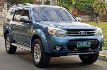 Blue Ford Everest 2008 Automatic Diesel for sale in Manila