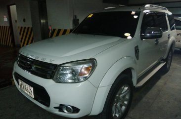 2014 Ford Everest for sale in Taytay