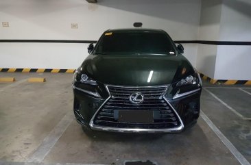 2019 Lexus Nx for sale in Makati