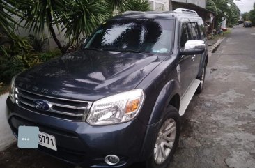 2014 Ford Everest for sale in Pasig 