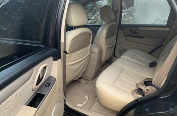 Ford Escape 2009 for sale in Las Piñas