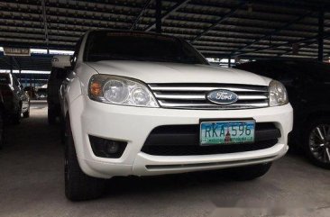 Ford Escape 2010 Automatic Gasoline for sale 