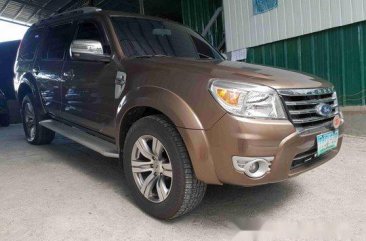Selling Brown Ford Everest 2012 at 76847 km 