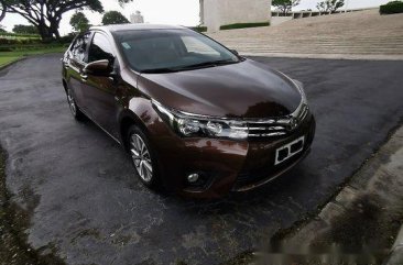 Sell Brown 2014 Toyota Corolla Altis Automatic Gasoline 