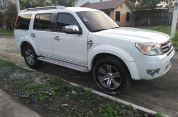 2013 Ford Everest for sale in Angeles 