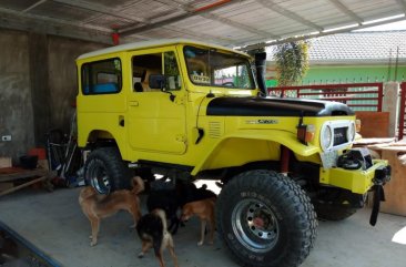 Toyota Land Cruiser 1972 for sale in Panabo