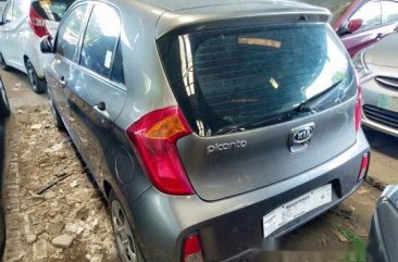 Grey Kia Picanto 2016 for sale