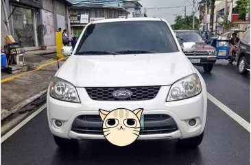 2012 Ford Escape for sale in Pampanga