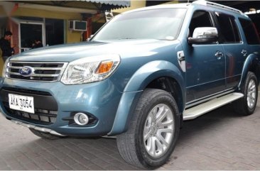 2015 Everest Ford for sale in Pasig 
