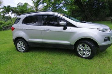 Silver Ford Ecosport 2017 at 9000 km for sale 